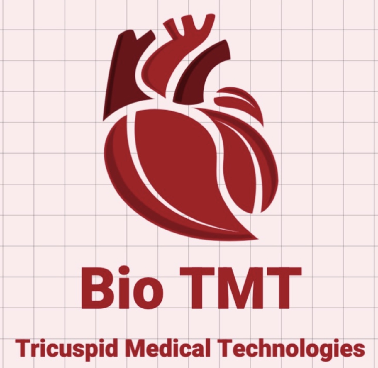 BioTMT